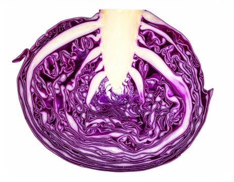 Cross-section of a red cabbage reveals intricately layered leaves in vibrant purple hues and white veins, creating an abstract natural pattern - Powered by Adobe