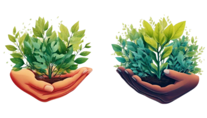 Growth and Diversity Plant Care Icon Collection Isolated on Transparent Background