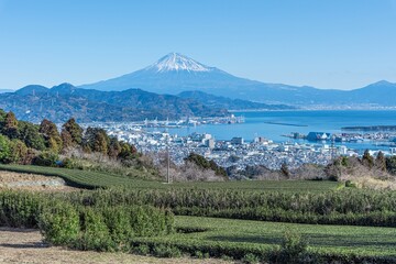 静岡県静岡市　日本平からの茶畑と富士山
