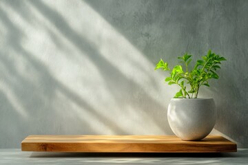 Green Plant in Modern Pot on Wooden Shelf with Soft Shadows Against Gray Background
