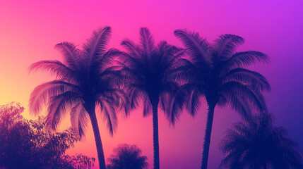 Obraz premium Vibrant Tropical Sunset with Palm Tree Silhouettes