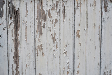 Close-up of a rustic wood texture painted white