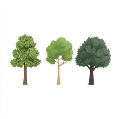 Three Distinct Tree Designs with Varied Leaf Colors and Textures