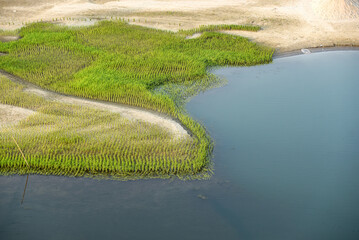 Aerial View Of Green Marsh Wetland Along Shallow Shoreline And Wate