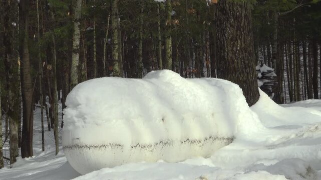 A propane tank covered in snow near a forest during the winter.
