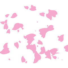 Set of abstract floral design elements. Leaves, flowers, grass, branches Vector