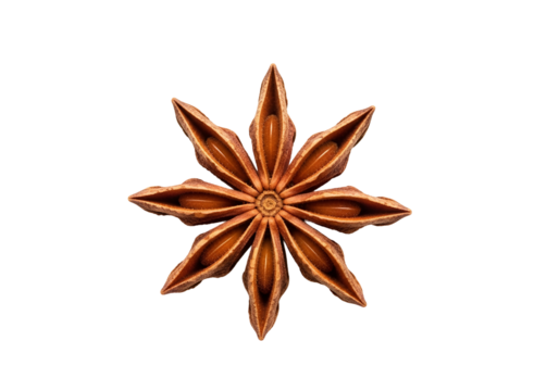 A close-up view of a star anise spice, showcasing its intricate, symmetrical structure and rich, warm tones against a stark black background.