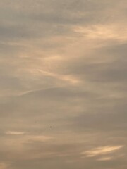 Golden Sunset Sky with Flying Bird”