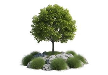 A small, vibrant tree stands atop a cluster of light gray rocks, surrounded by soft, green grass.