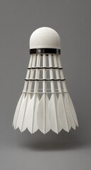 White shuttlecock, black bands