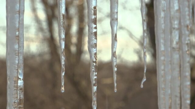 An extreme close-up of water dripping off of icicles rapidly as they melt from the sun.