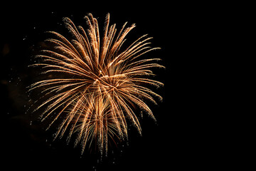 Stunning golden fireworks explode brilliantly against the night sky, igniting celebrations and moments of pure joy.