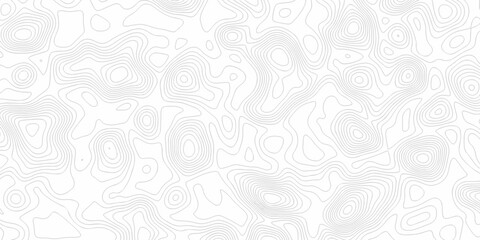 Minimal white line geometric grid outline curve counter map and wavy topography relief discovery area white, black line texture background.	

