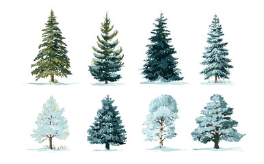 Eight different evergreen trees are illustrated, some covered in snow, set against a white background.