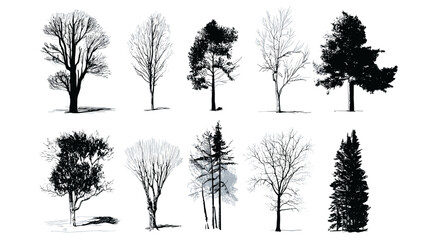 A collection of ten different tree silhouettes in black and white, showcasing various shapes, sizes, and foliage densities against a clean white background.