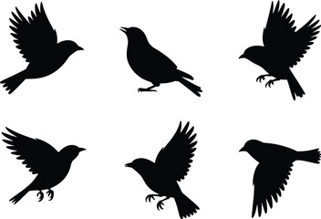 Set of Small Bird Silhouettes in Flight and Perching Poses for Vector Art, Nature Clipart, Wildlife and Design Projects