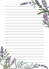 Lavender plant illustration, purple lavender flowers vector, aromatic herbal plant, hand drawn botanical clipart for invitations, posters, banners and designs