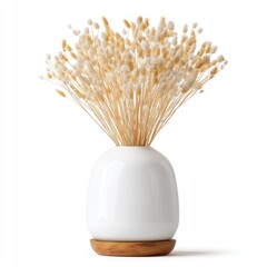 Creamy beige dried flowers in a minimalist white ceramic vase with a wooden base, isolated on white