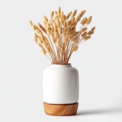 Creamy-beige dried flowers in a simple, white ceramic vase atop a small, round wooden base, set against a stark white backdrop