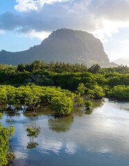 Tropical landscape, calm waters, lush vegetation