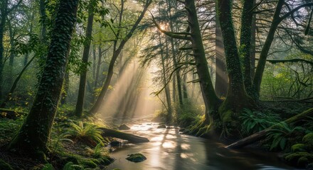 Fototapeta premium Sunlit Forest Stream: Dramatic Light Rays Piercing Through Lush Greenery