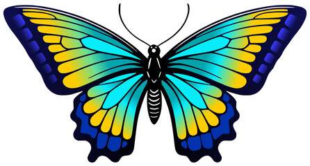 Creative and beautiful Colorful Butterfly