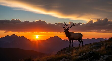 Majestic elk silhouetted against a vibrant sunset over a mountain range, showcasing the breathtaking beauty of nature.