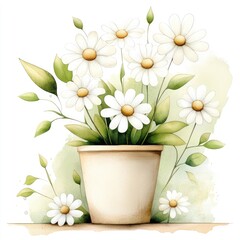 Clay pot filled with daisies and green leaves on a white background. For DIY crafts and handmade cards, watercolor artwork.