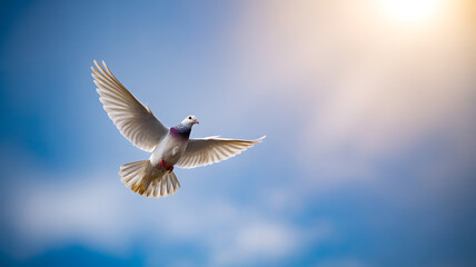 White dove flying against a blue sky with sunlight in the background