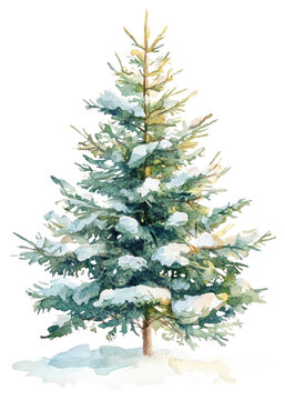 PNG Snow-covered watercolor Christmas tree