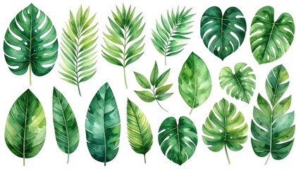 Tropical leaf collection (1)