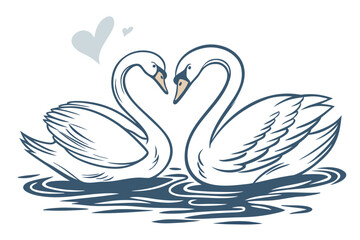 two swans on the water