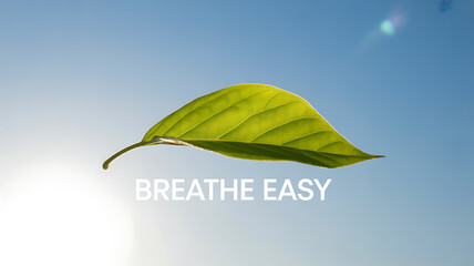 A single green leaf floating against a clear blue sky with sunlight, accompanied by the text 'BREATHE EASY'.