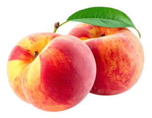 Two ripe peaches, vibrant red and yellow, with a green leaf attached