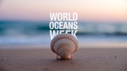 A seashell on a sandy beach at sunset with 'World Oceans Week' text overlay