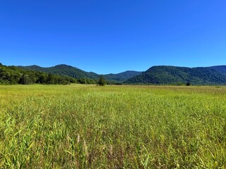 Ozegahara Wetland and Wooden Boardwalk, Oze National Park, Gunma, Japan