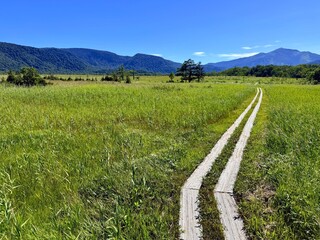 Ozegahara Wetland and Wooden Boardwalk, Oze National Park, Gunma, Japan