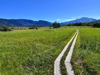 Ozegahara Wetland and Wooden Boardwalk, Oze National Park, Gunma, Japan
