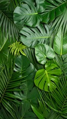 Tropical leaf pattern background