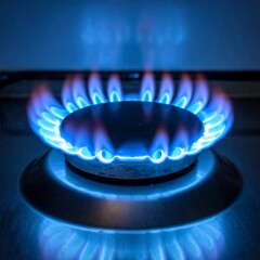 Close-up of blue gas burner flames