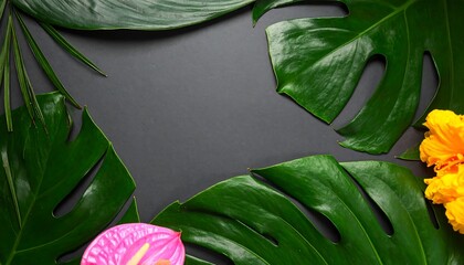 Tropical leaves and flowers on dark background