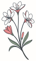 Elegant Floral Illustration White Petals Pink Accents and Dark Green Leaves