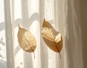Two dried, beige leaves rest against sheer white curtains, backlit by sunlight casting shadows