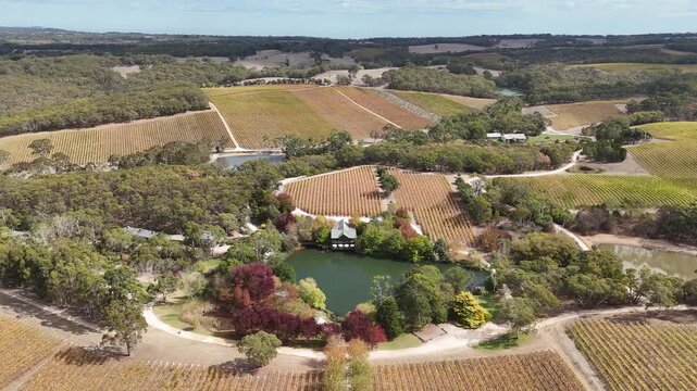 Kuitpo, Adelaide Hills, South Australia &ndash; 4K Aerial Drone Footage of Autumn Vineyards at K1 Wines, Lakeside Cellar Door, Rolling Hills, Native Forests, Scenic Wine Country in the Fleurieu Peninsula