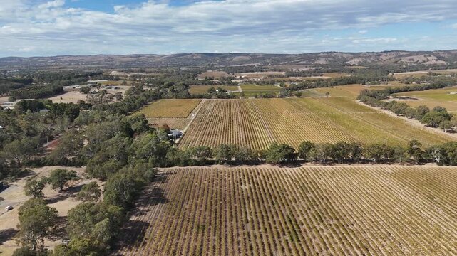 Kuitpo, Adelaide Hills, South Australia &ndash; 4K Aerial Drone Footage of Autumn Vineyards at K1 Wines, Lakeside Cellar Door, Rolling Hills, Native Forests, Scenic Wine Country in the Fleurieu Peninsula