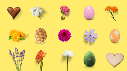 collection of flowers with extra things