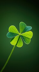  A close-up shot of a four-leaf clover with bright green leaves, symbol of luck, against a blurred natural background.