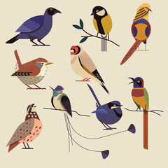 set of birds