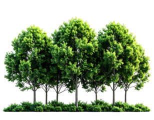 Lush green trees in a row against black background