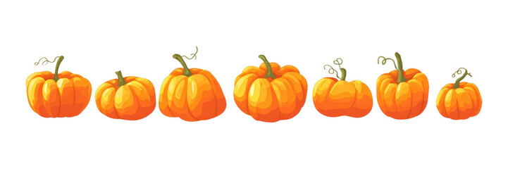 PNG Vibrant pumpkins in autumn row.